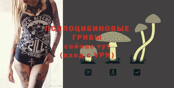 mdpv Протвино