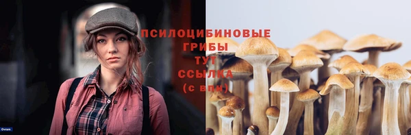 PSILOCYBIN Приозерск