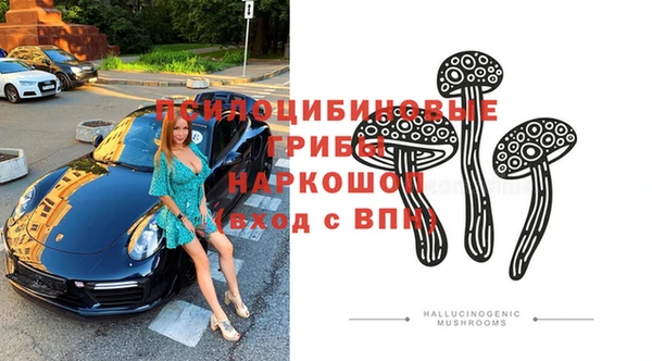 mdpv Протвино