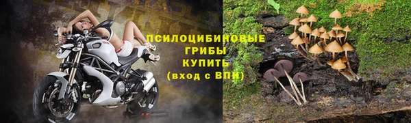 PSILOCYBIN Приозерск