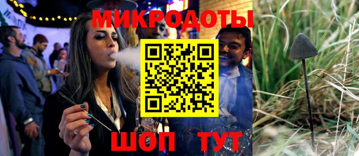 Саров  Псилоцибиновые грибы мухоморы  Вход с VPN 