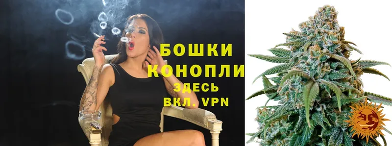 купить наркотики сайты  Саров  Марихуана SATIVA & INDICA 