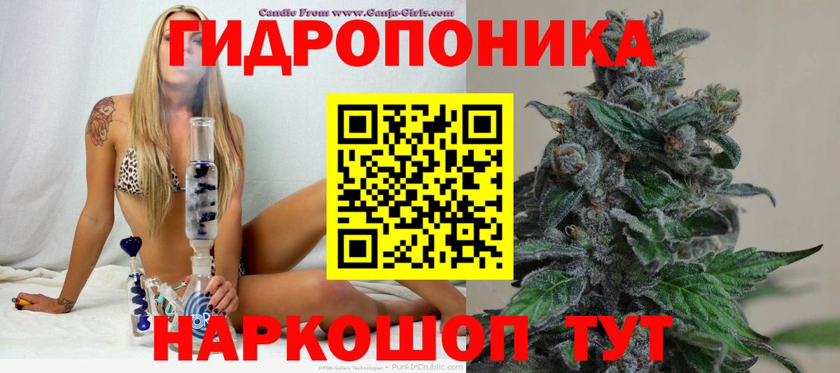 Бошки марихуана OG Kush Саров